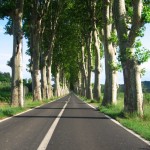 The Road To Belarga